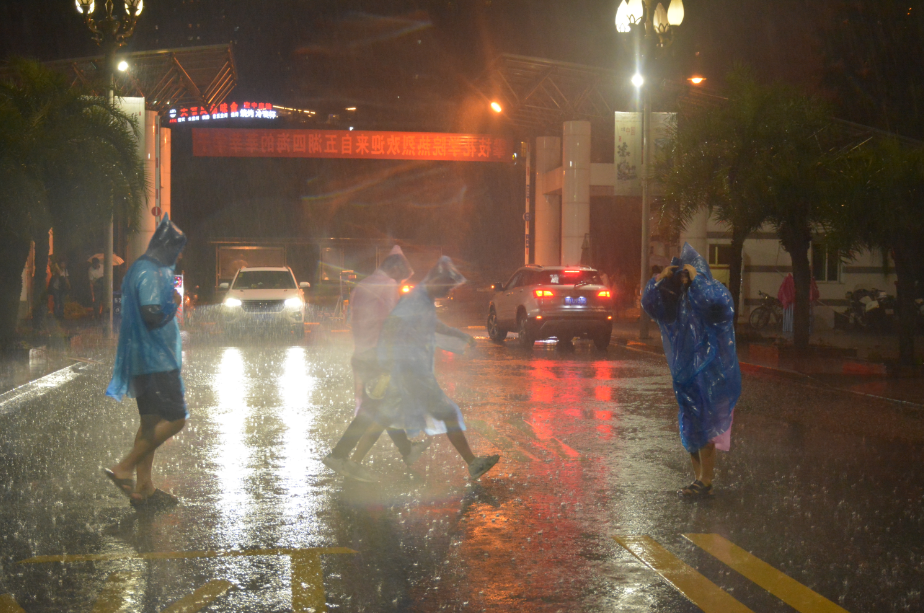 风雨无惧